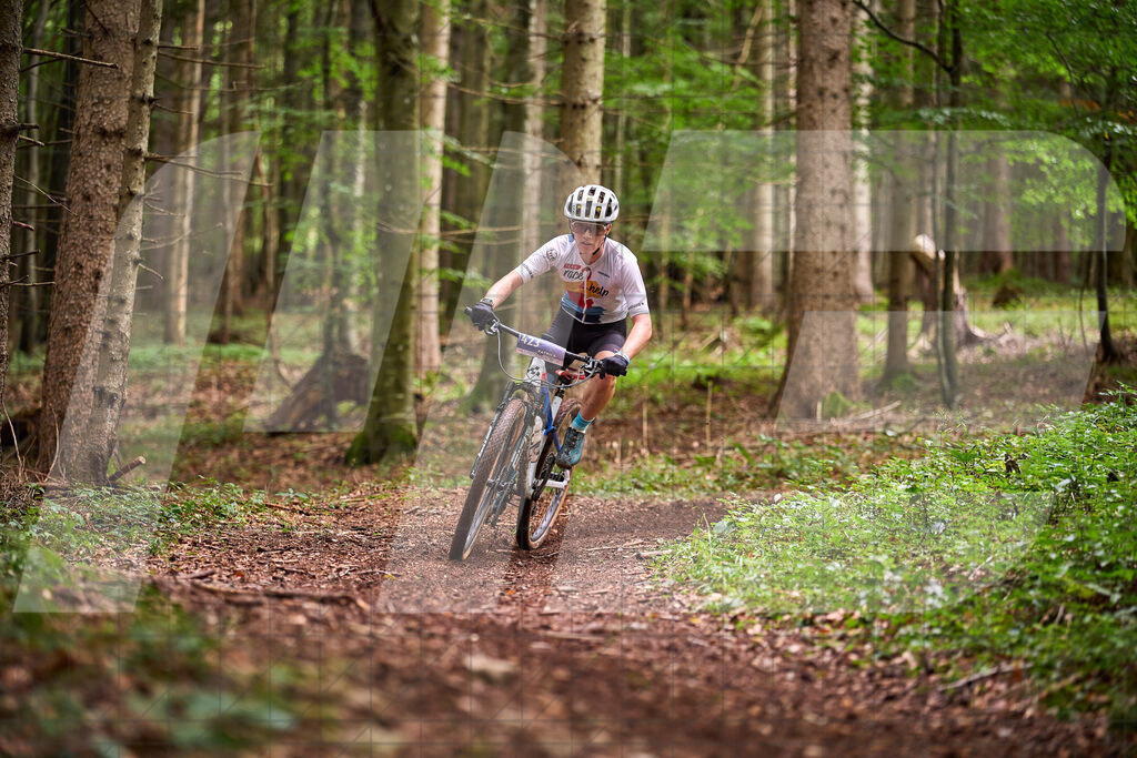 Betriebszentrum Laubenbachmühle, Frankenfels, Österreich - 13. September 2025: Dirndltal Race - Fun und Trophy RaceFotograf: Martin Bihounek / martinbihounek.com | 13. September 2025 Betriebszentrum Laubenbachmühle, Frankenfels, Österreich : Dirndltal Race - Fun und Trophy Race •••••Photo by: Martin Bihounek / martinbihounek.comInsta: @martinbihounekcom