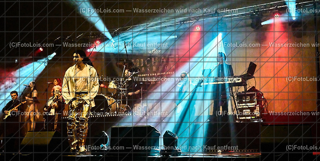 ALP6444_Tribute_Michael Jackson_Wieselburg | (C)FotoLois.com, Alois Spandl.  Michael Jackson Tribute-Konzert im Wieselburger NV-Forum, Mi 30. Oktober 2024.