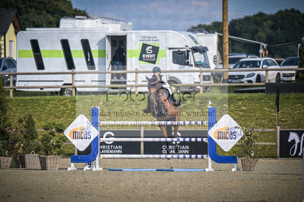 DOS_3347 | Entdecke hochwertige Reitturnierfotos von Foto Oger. Professionell, emotional und authentisch – jetzt Lieblingsmomente im Shop bestellen.Deutschlandweite Turnierfotografie. - Realisiert mit Pictrs.com