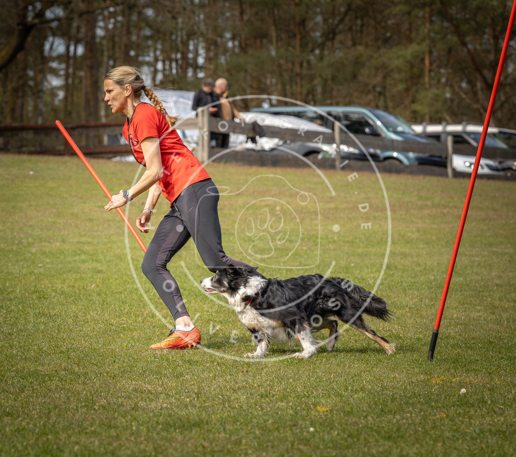 Pfotenfotografie_DV3A7661 | Hundefotografie, Tierfotograf, Pfotenfotografie, Fotoshooting Hund, Hunde Portrait, Hundesport, Hundeportraits, Heideshooting, Hunde, Sportfotograf, Hundefotograf, Turnierhundsport, THS,  - Realisiert mit Pictrs.com