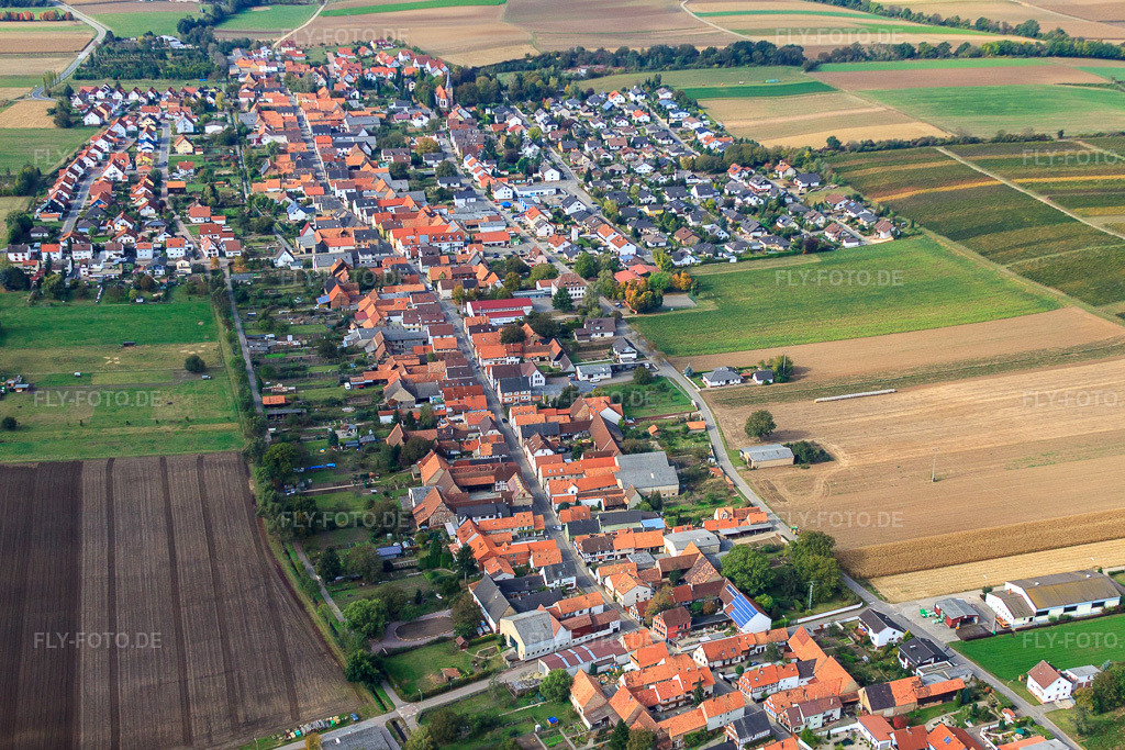 Luftbild: Dorfansicht von Südosten in Freckenfeld im Bundesland Rheinland-Pfalz in Deutschland. Foto: IMG_22543.jpg vom 15.10.2009 durch Werner Riehm/FLY-FOTO.de