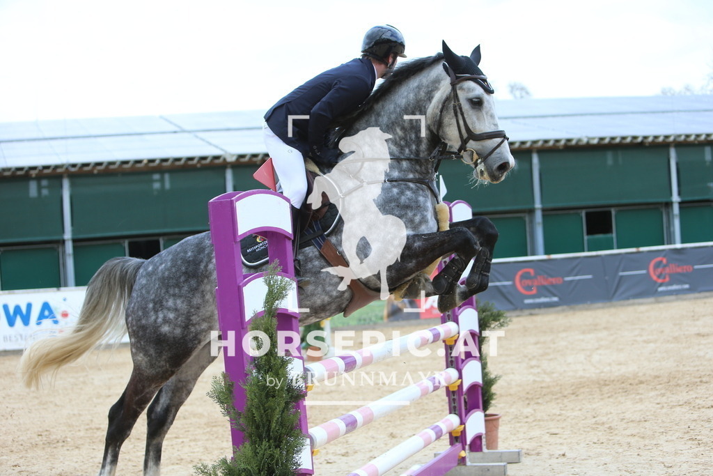 DL2Q0031 | Willkommen bei Brunnmayr - Design & Fotografie – Ihrem Spezialisten für Reitturniere und Pferdeveranstaltungen in Oberösterreich, Salzburg und Bayern! Seit über 17 Jahren sind wir leidenschaftlich dabei.