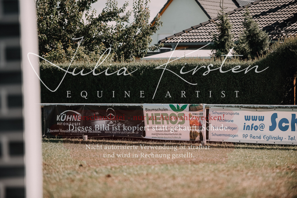 DSC_7602 | Pferde- und Turnierfotografie in Westsachsen. Pferdeportraits, Auftragszeichnungen und intuitive Kunst.