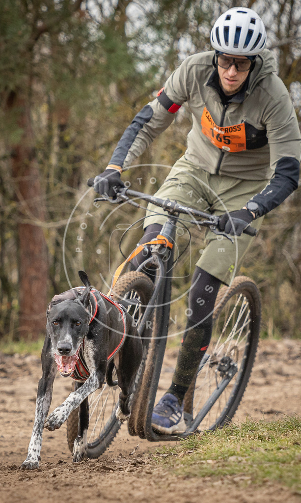 Pfotenfotografie_DV3A9365 | Hundefotografie, Tierfotograf, Pfotenfotografie, Fotoshooting Hund, Hunde Portrait, Hundesport, Hundeportraits, Heideshooting, Hunde, Sportfotograf, Hundefotograf, Turnierhundsport, THS,  - Realisiert mit Pictrs.com