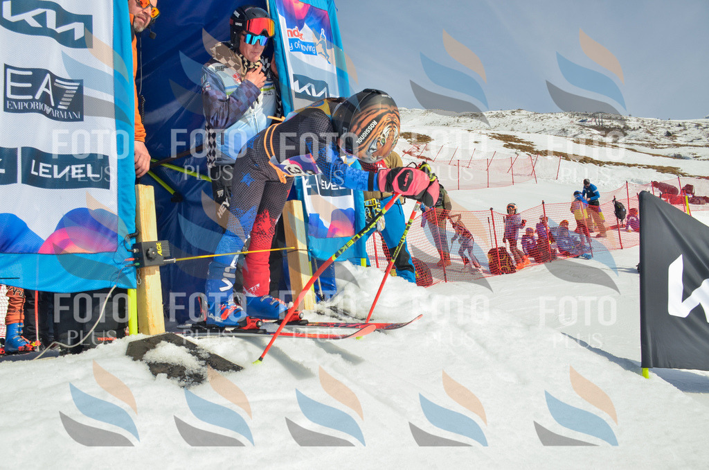 _ELE4347 | holidayphoto