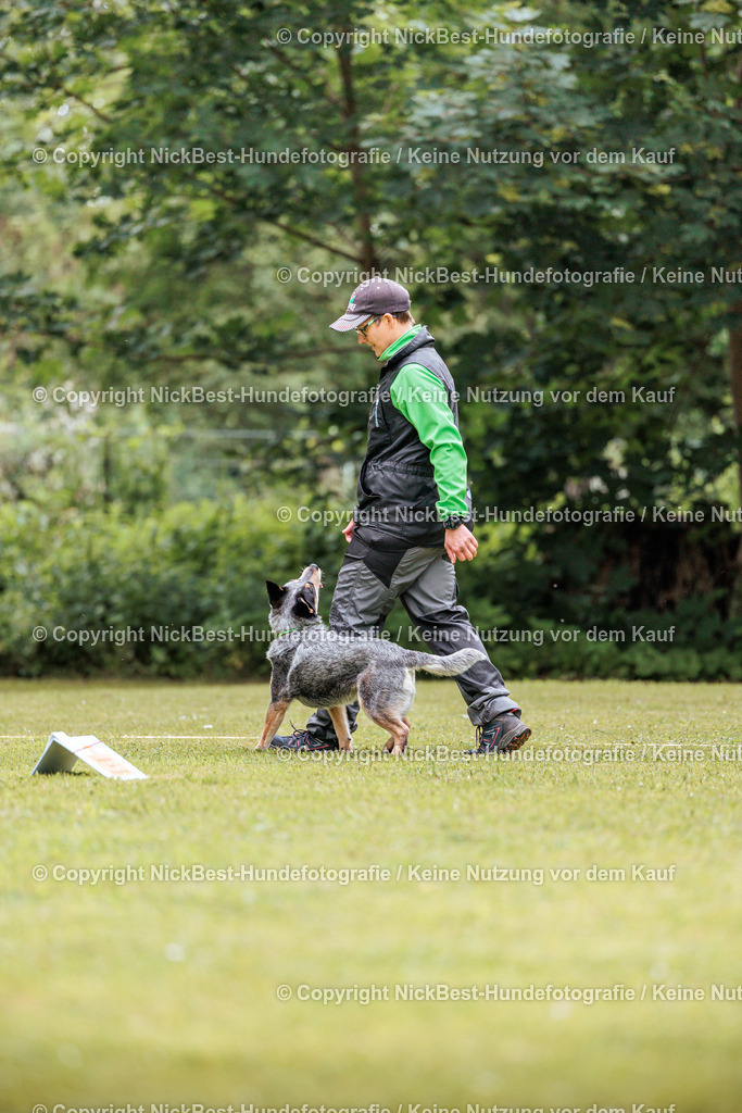 RO-Blumenthal-2026-Nickbest-Hundefotografie-1775 | Dein Hund! Dein Moment! Deine Erinnerungen! Hundefotografie in Bremen Blumenthal. Ich fange die besonderen Momente deines Vierbeiners ein – ob Indoor mit Blitzanlage oder in der freien Natur. Sicher dir dein Moment und dein Termin für eure Erinnerungen.