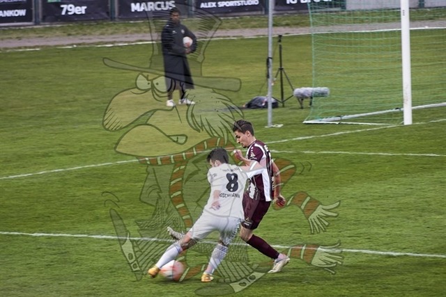 BFC Dynamo vs. Tennis Borussia Berlin 068 | mythos-online-redaktion