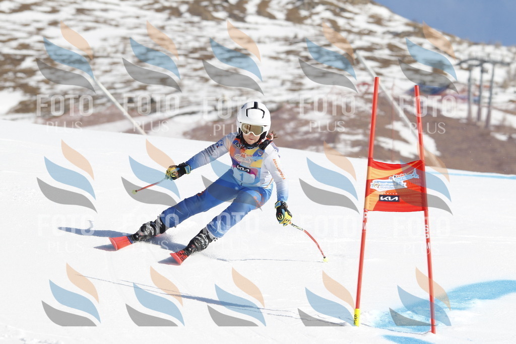 _U3G8492 | holidayphoto