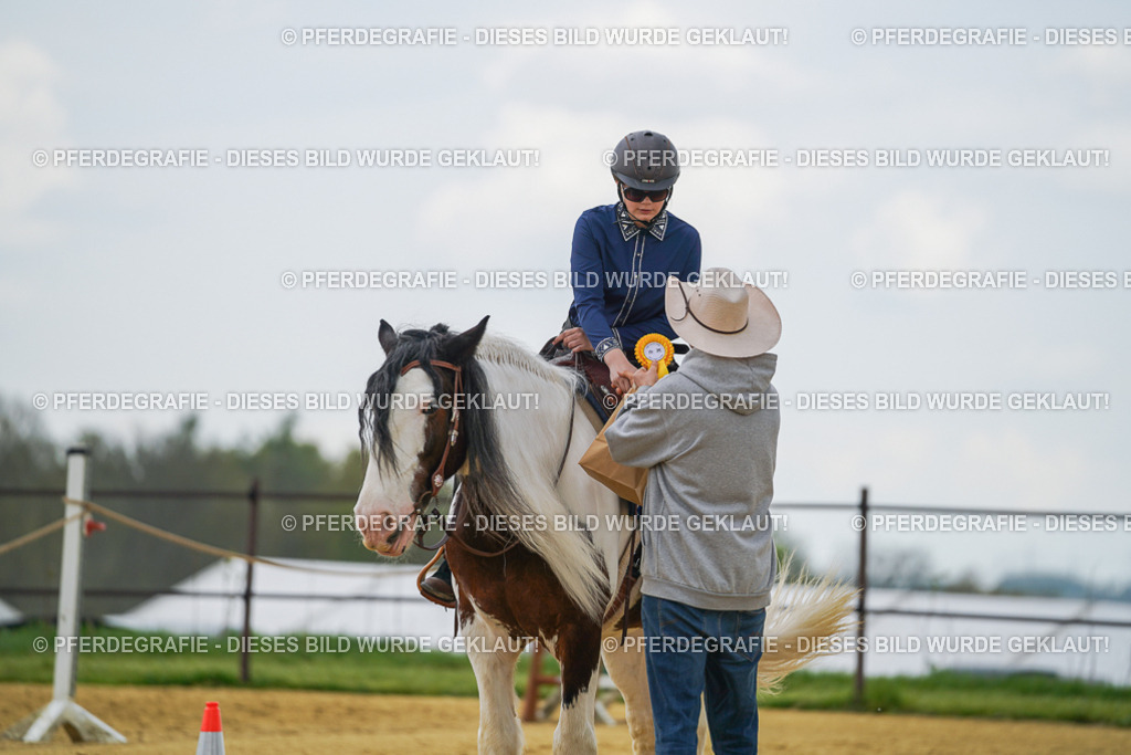 DSC06355 | Pferdegrafie