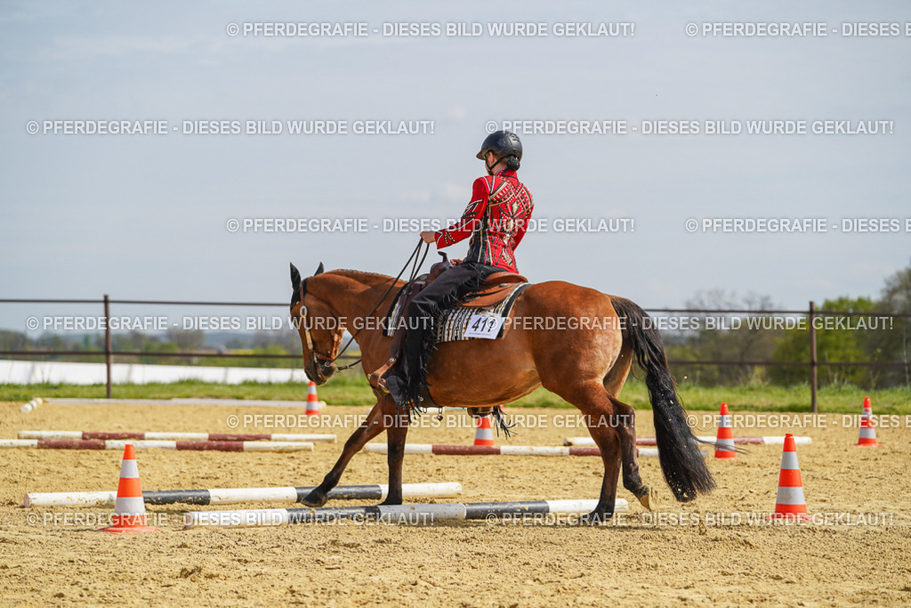 DSC04501 | Pferdegrafie