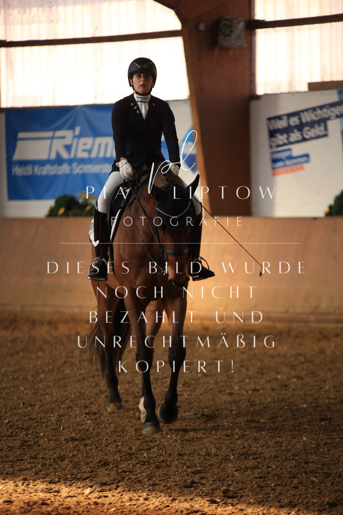 IMGT0931 | pl-fotografie