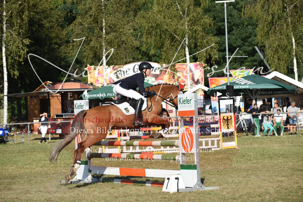 DSC_5240 | Pferde- und Turnierfotografie in Westsachsen. Pferdeportraits, Auftragszeichnungen und intuitive Kunst.