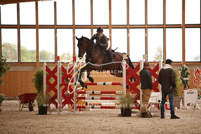 1J2A2906Constanze Voigt_ Caius 16_ Kn045_ Hohen Wieschendorf_ Glantz | Foto- und Videografie für alles rund ums Pferd. Hochwertige Bilder und Videos vom Spring- und Dressurreiten, Voltigieren & mehr. Jetzt aktuelle Veranstaltungen und Preise im Shop ansehen. - Realisiert mit Pictrs.com