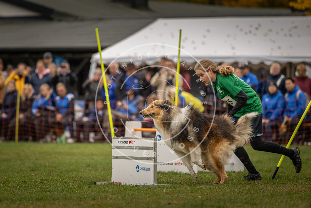 Pfotenfotografie_DV3A6635 | Hundefotografie, Tierfotograf, Pfotenfotografie, Fotoshooting Hund, Hunde Portrait, Hundesport, Hundeportraits, Heideshooting, Hunde, Sportfotograf, Hundefotograf, Turnierhundsport, THS,  - Realisiert mit Pictrs.com