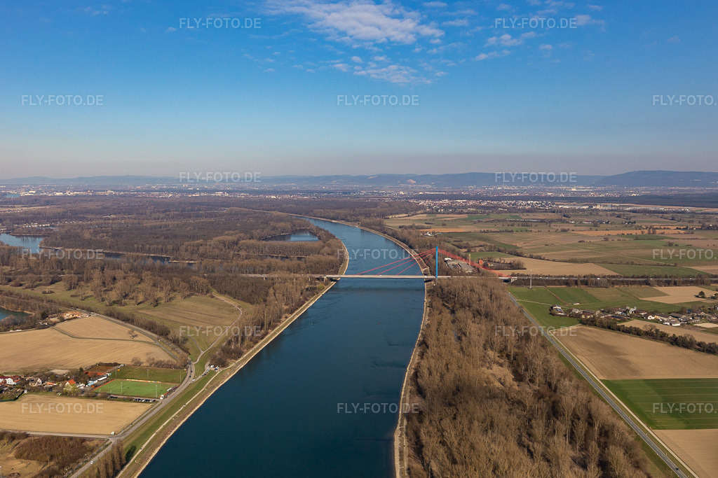 Luftbild: Uferbereiche am Flußverlauf des Rhein mit Brücke der Autobahn A61. im Ortsteil Ludwigshof in Speyer im Bundesland Rheinland-Pfalz in Deutschland. Foto: IMG_125956.jpg vom 07.03.2021 durch Werner Riehm/FLY-FOTO.de