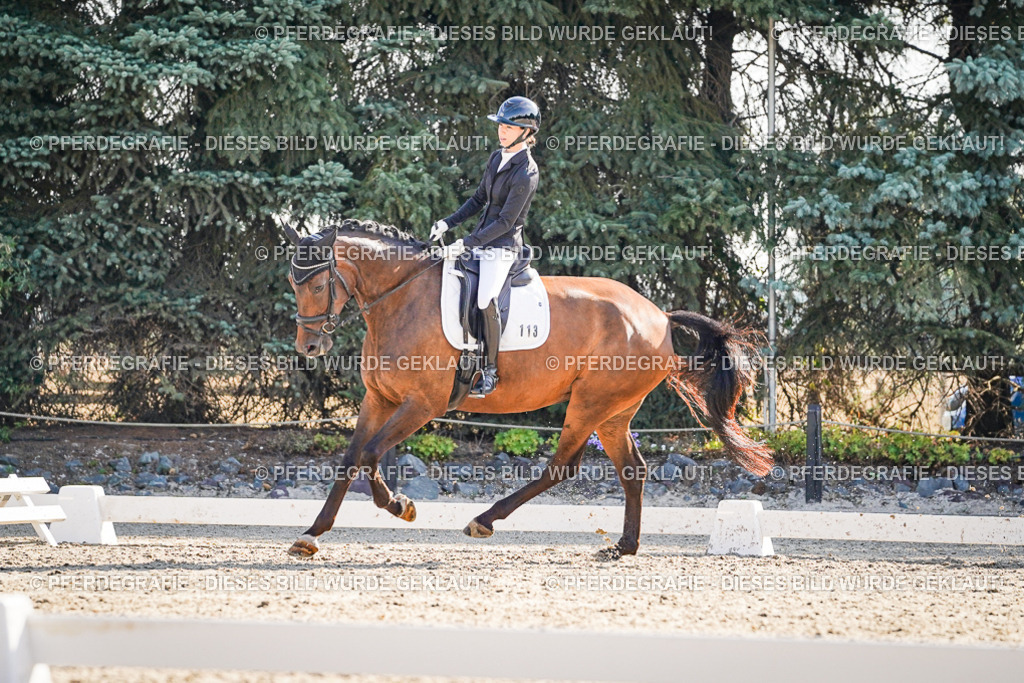 DSC09400 | Pferdegrafie