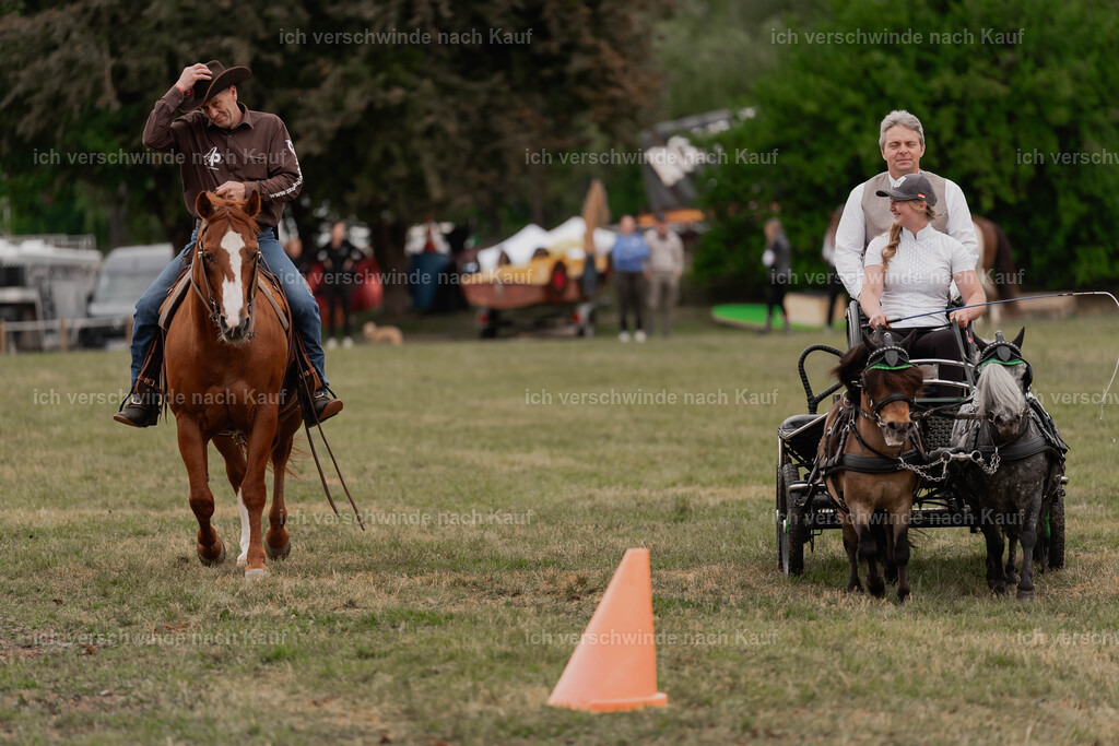 Showprogramm-522 | working equitationturnier fotograf videograf stoibphotography marixx film working equitation deutschland reitsport turnierfotografie eventfotografie equestrian events