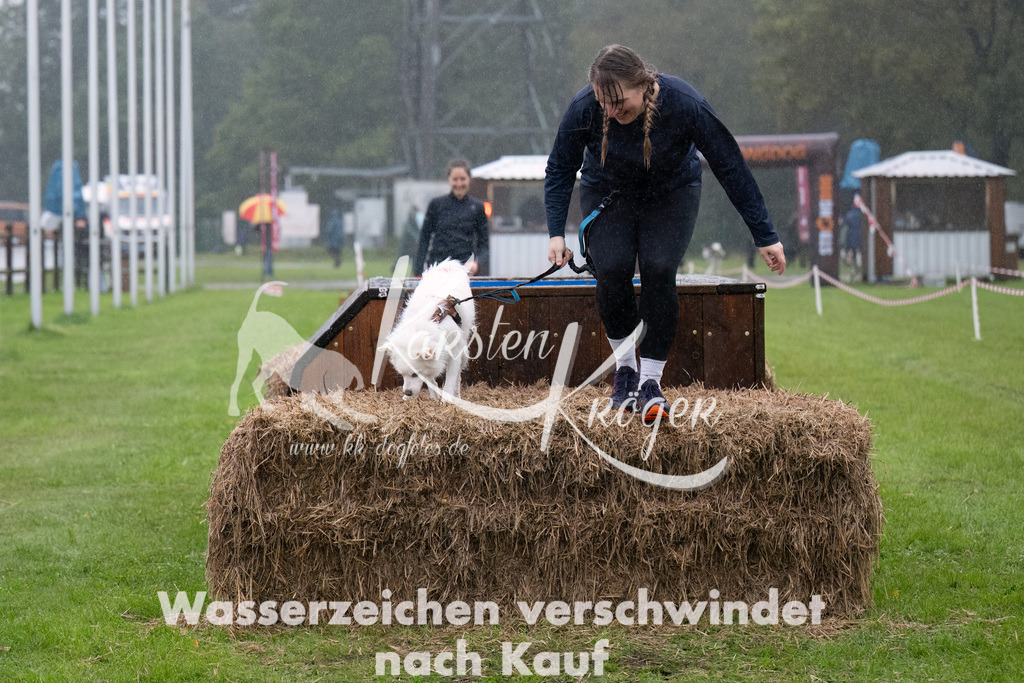 0940-_ZZ94431-Bearbeitet | kk-dogfotos