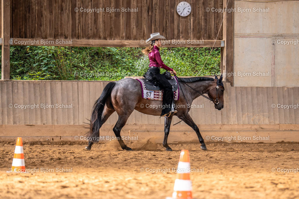 LMS02210 | BS-foto