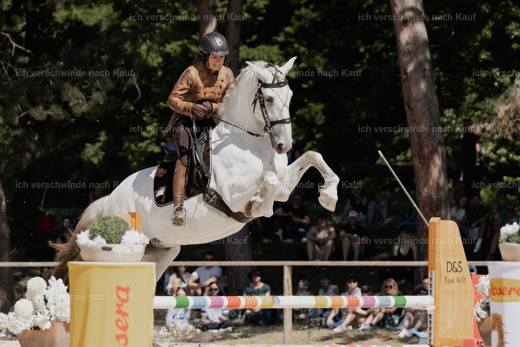 WE_SP_Stoib_347_PI2025_1525 | Pferd International München 2025