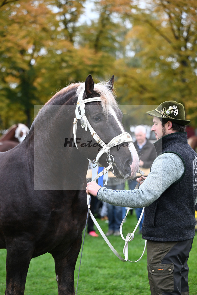 Kat-Nr. 6 Steinbach von Burggen v. Sixtus_Schleich_41250249 | hf-fotografie - Realizzato con Pictrs.com
