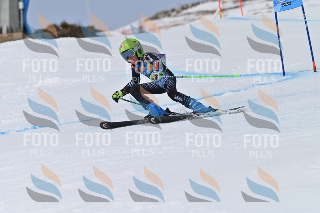 BGV_5485 | holidayphoto