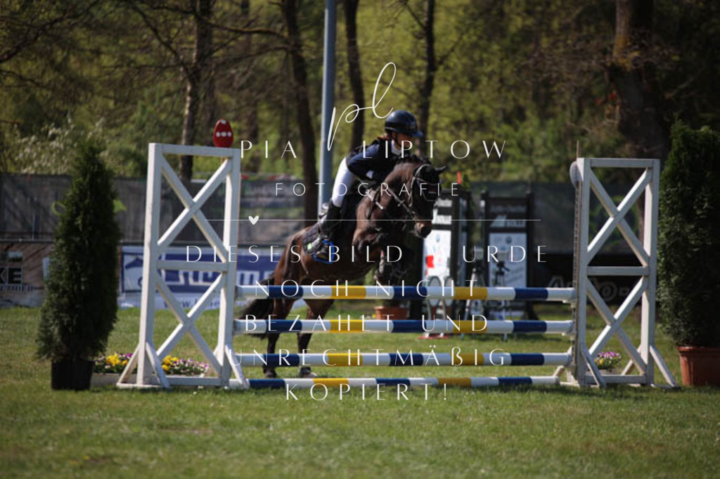 IMGT5683 | pl-fotografie