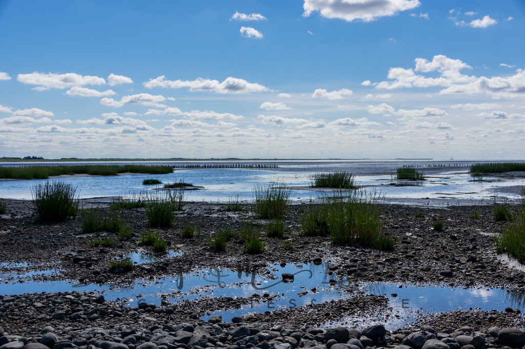 IMGP0434 | Nordseeinsel Mandö - Realisiert mit Pictrs.com