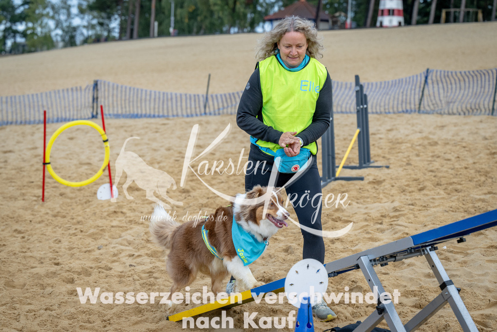 0916_ZZ92131 | kk-dogfotos