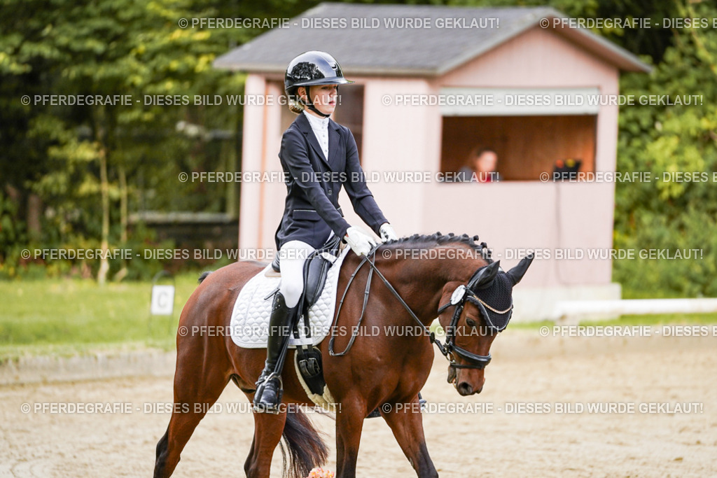 DSC09502 | Pferdegrafie