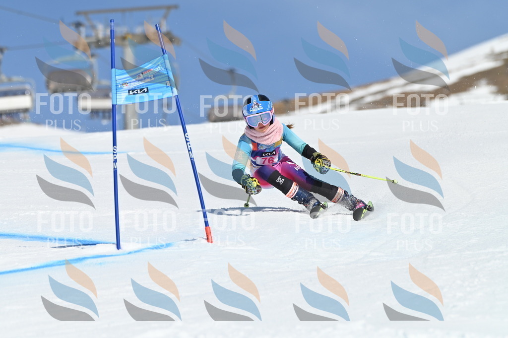 BGV_9013 | holidayphoto