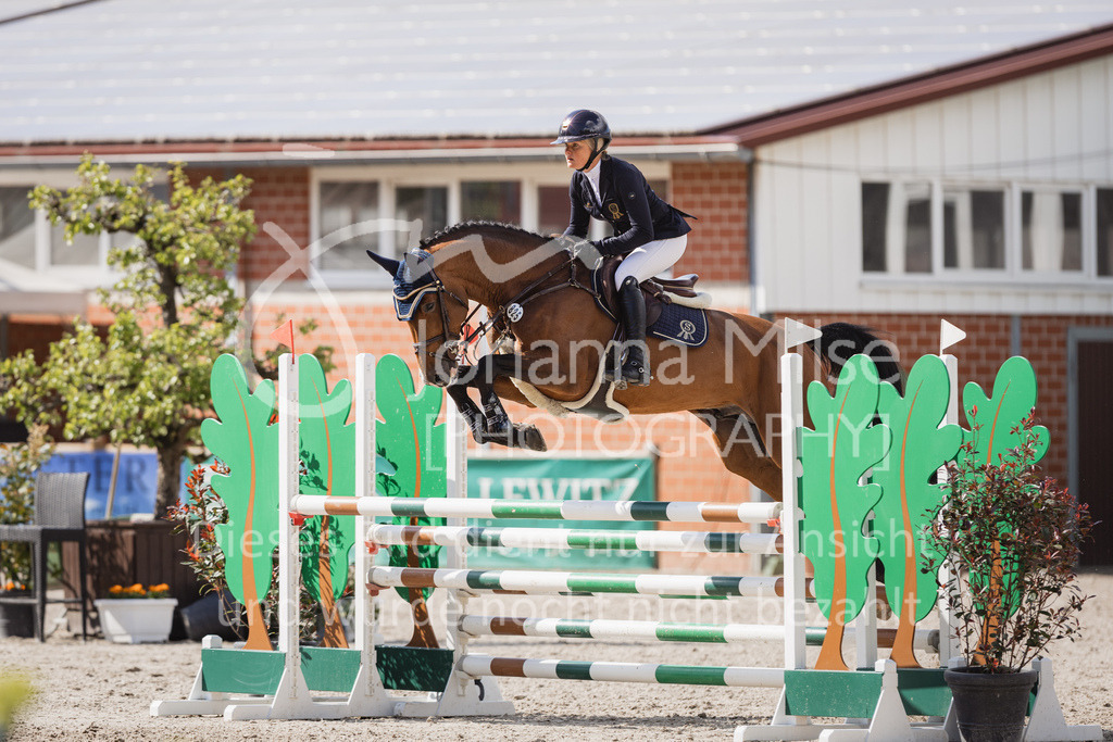 230516_Mühlen_04SprPf-L-493 | Deine schönsten Turniermomente als professionelle Fotos! Entdecke hochwertige Pferdesport-Fotografie im Online-Shop. Jetzt Fotos finden & bestellen!