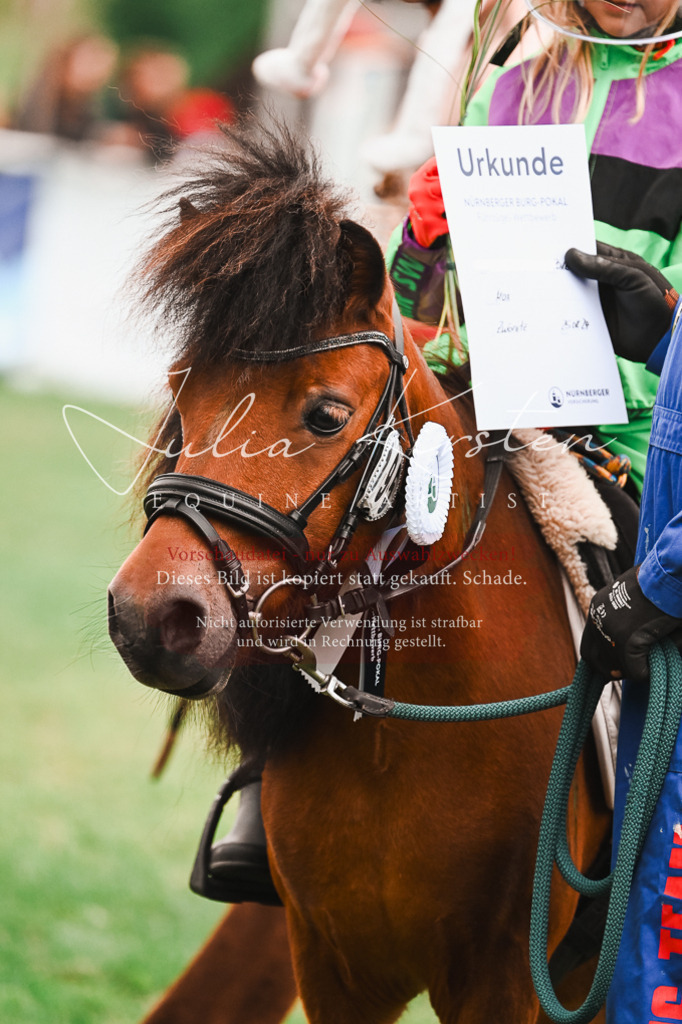 DSC_7662 | Pferde- und Turnierfotografie in Westsachsen. Pferdeportraits, Auftragszeichnungen und intuitive Kunst.