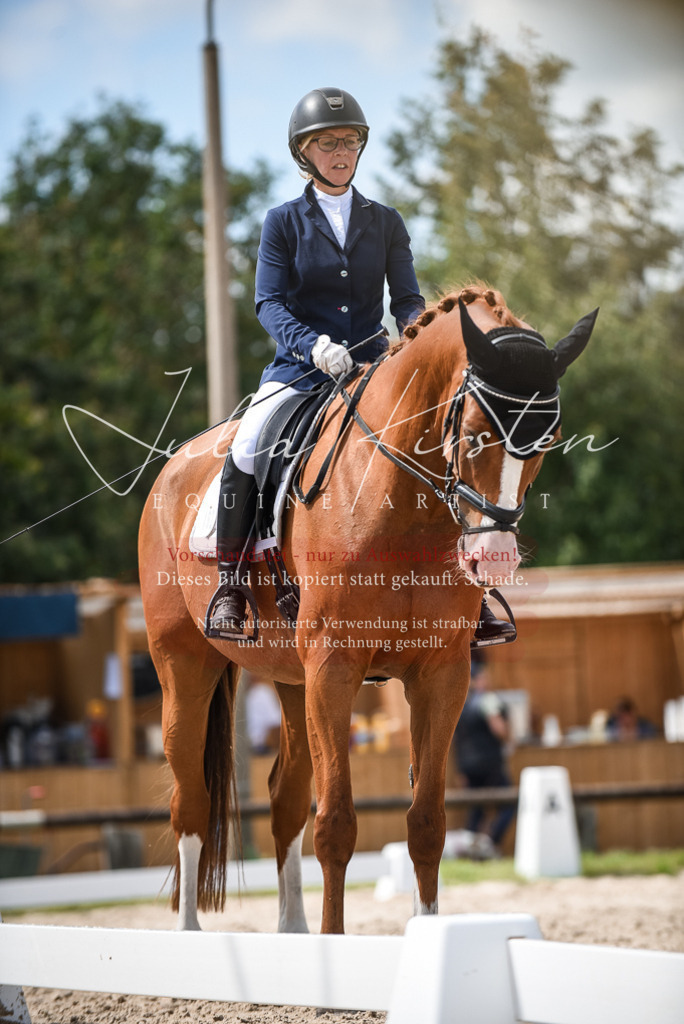 DSC_9248 | Pferde- und Turnierfotografie in Westsachsen. Pferdeportraits, Auftragszeichnungen und intuitive Kunst.