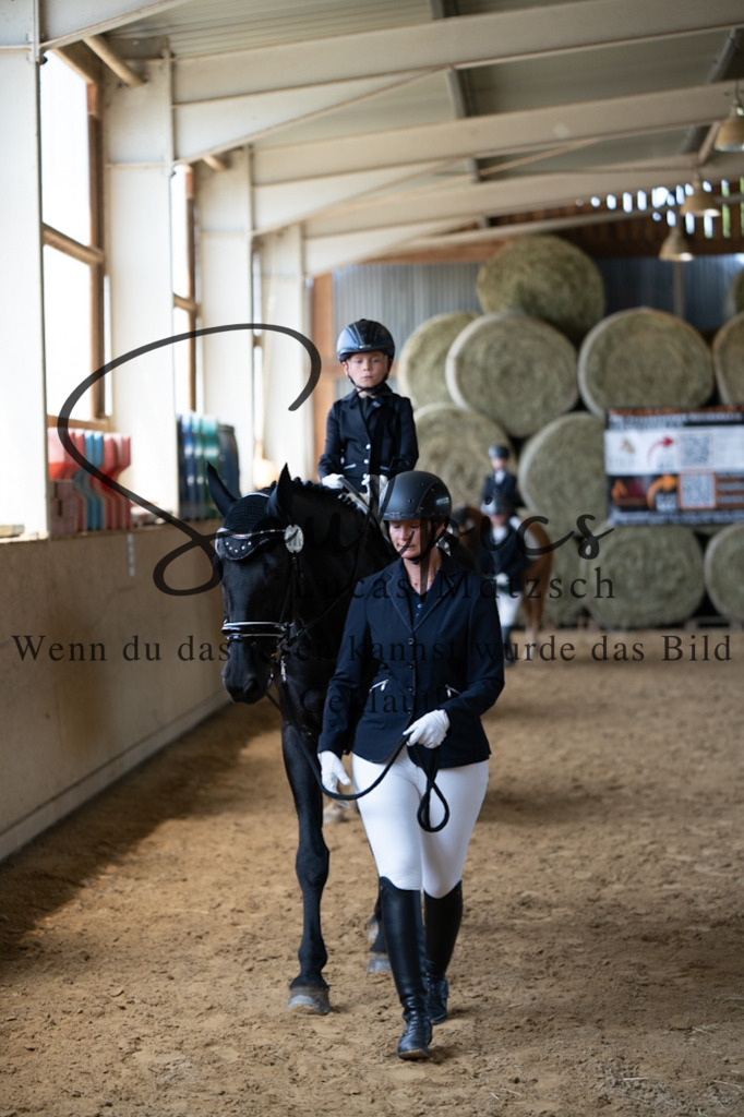 A7V08237 | Pferdefotograf