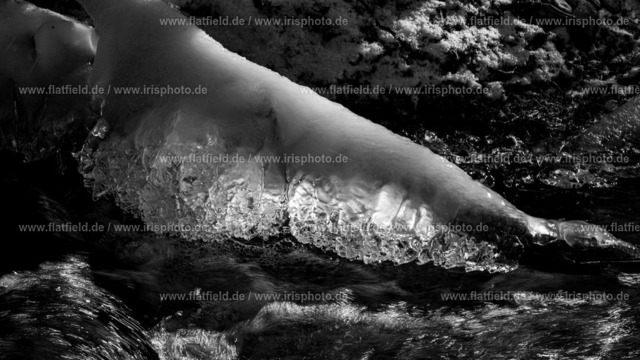 Ast und Eis | Naturfoto von Eisskulpturen - Gesehen am Liederbach im Taunus.