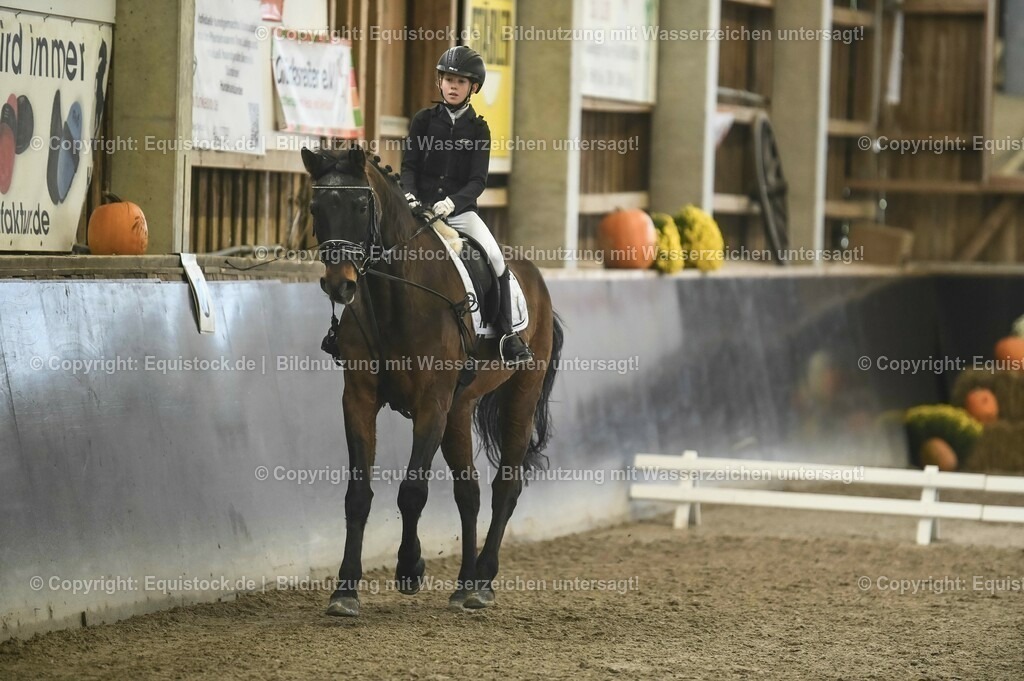 20231029_02_Reiter-WB_Schritt-Trab-Galopp_Abteilung-03_0063 | Foto: Thomas Hartig