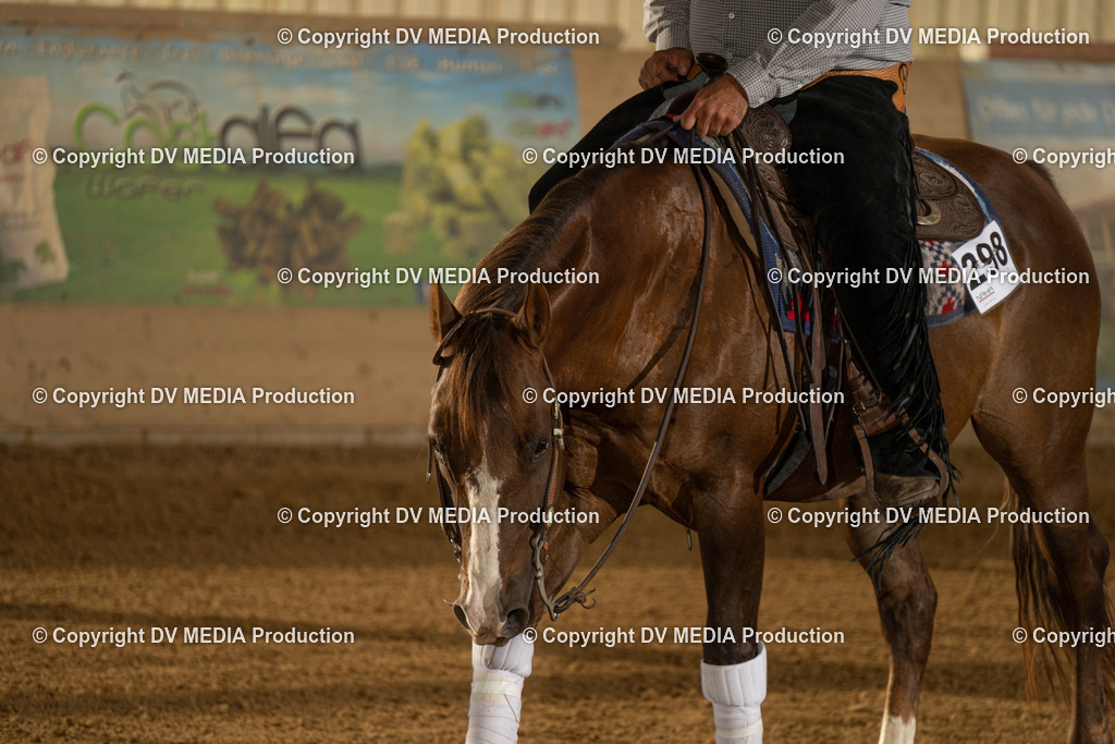 LAU01938 | dv-media-shop - Realisiert mit Pictrs.com