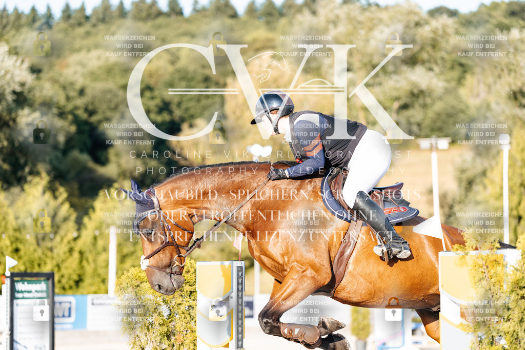 CK900662 | Turnierfotografie Pferdefotografie Trier Rheinland-Pfalz Pferdesport Reitsport Tierfotografie Sportfotografie Pferdevideo Pferdevideografie Equestrianvideography equestrianphotography  - Realisiert mit Pictrs.com