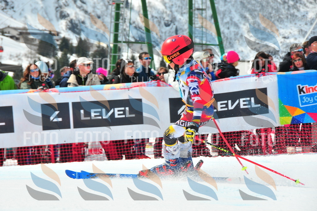 DSC_1764 | holidayphoto