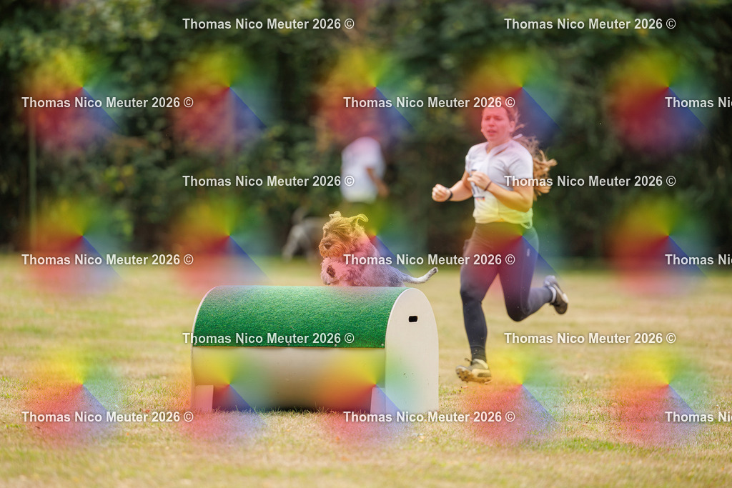 Thomas_Nico_Meuter(C)_22. August 2026_223A4294 | Bild von Thomas Nico Meuter - Realisiert mit Pictrs.com