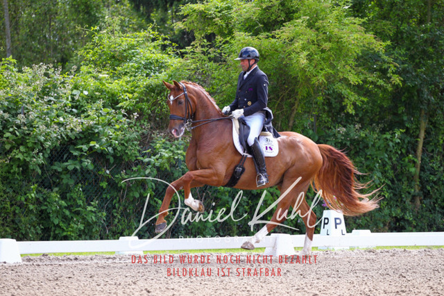DKP41330 | Turnierfotos kaufen im Webshop von Daniel Kuhl Photography – entdecke professionelle Reitsportfotos aus Turnieren & Events. Hochwertige Turnierbilder online bestellen & sichern. Jetzt Fotos von Reitsportturnieren kaufen!