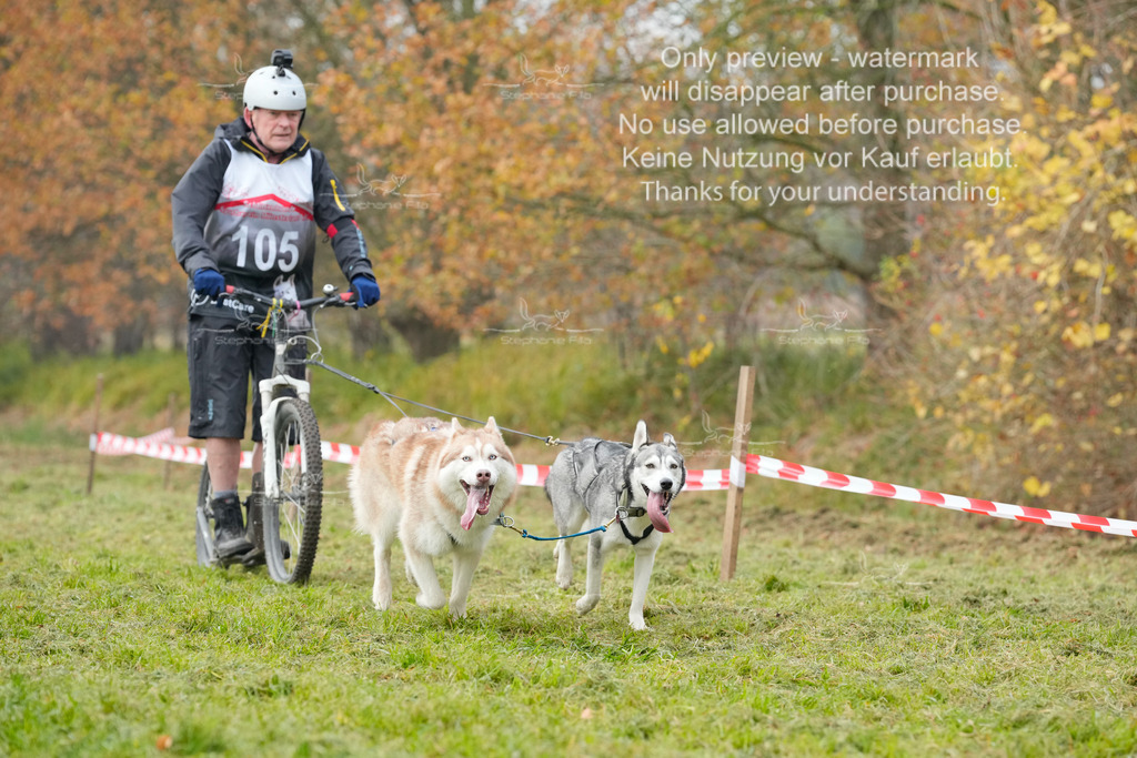 Visbeck_Sa_DS2DR2-75 | stephaniefillaphotographie - Realisiert mit Pictrs.com