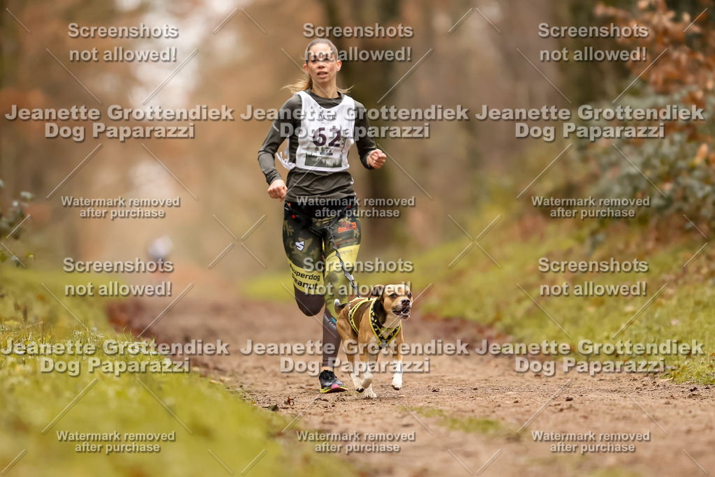 Dog Paparazzi - Speedhunter Mannheim  2025-183 | Dog Paparazzi Jeanette Grottendiek Fotografie & Videografie