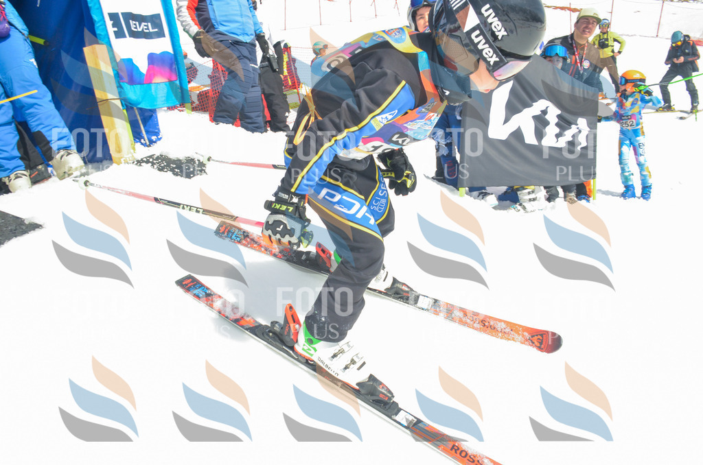 _ELE6743 | holidayphoto