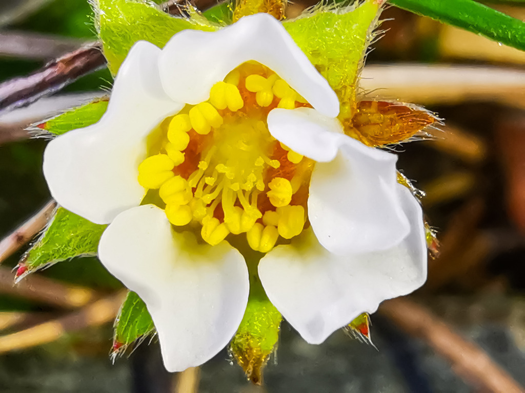 PSX_20230322_225023 | mtkfoto_ - Realisiert mit Pictrs.com