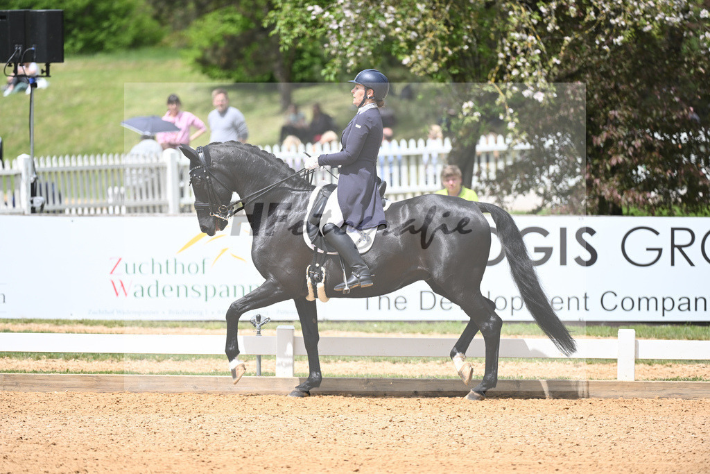 Borgmann-Reuter_Sanrico_11233649 | hf-fotografie - Realisiert mit Pictrs.com