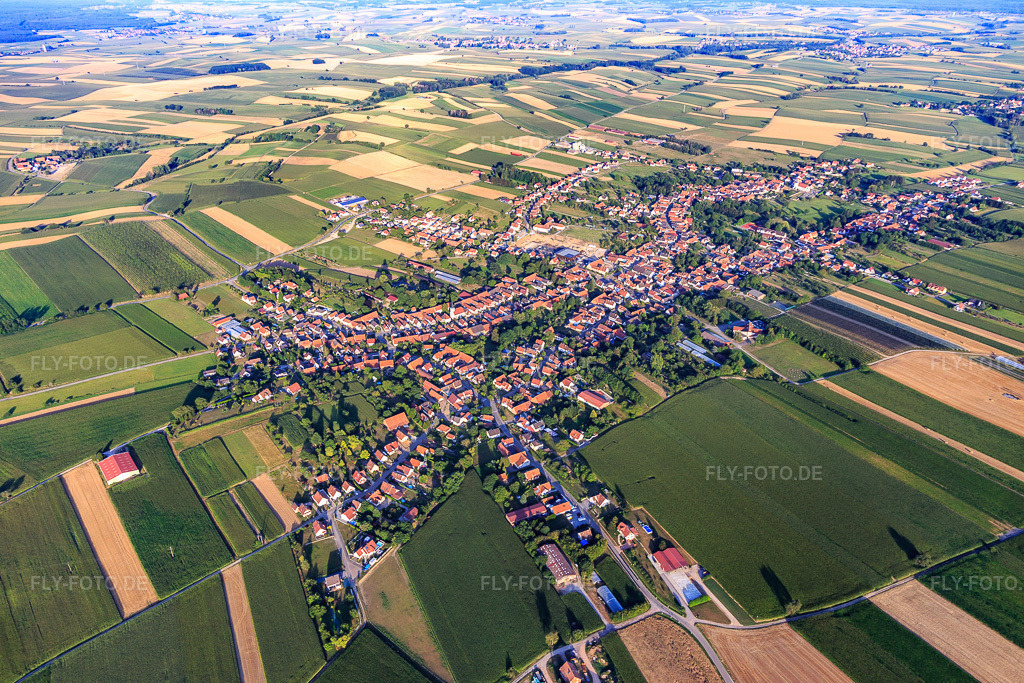 Luftbild: Dorfübersicht aus Nordwesten in Seebach im Bundesland Bas-Rhin in Frankreich. – Foto: IMG_121002-2.jpg vom 23.07.2020 durch Werner Riehm/FLY-FOTO.de – Auflösung des Originals: 5472 x 3648 px