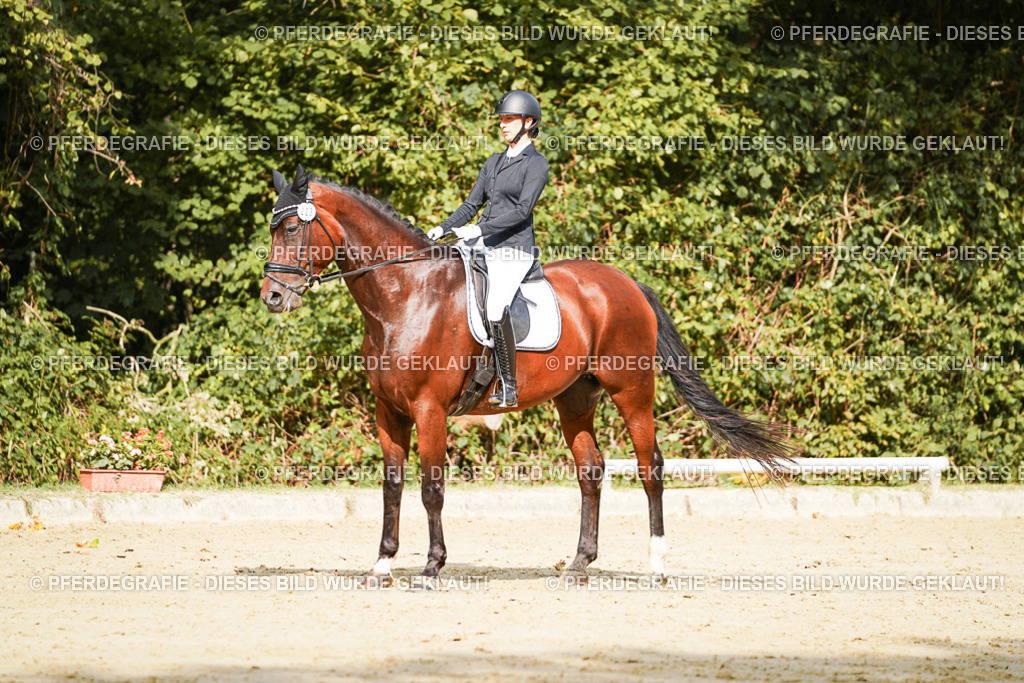 DSC02183 | Pferdegrafie