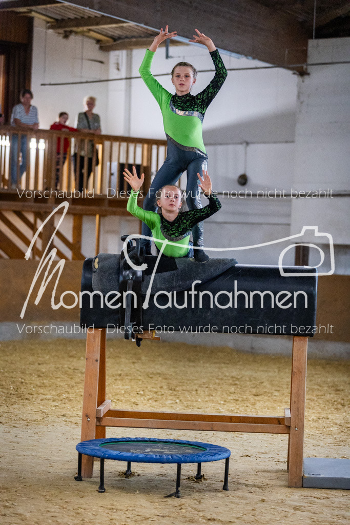 Holzpferd-002 | MomenTaufnahmen Pferdesportfotos